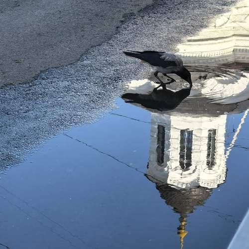 Photo #13695140