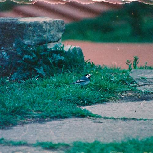 Photo #13695151