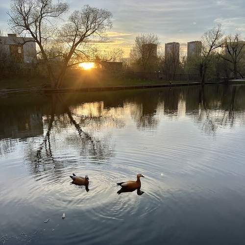 Photo #13695170