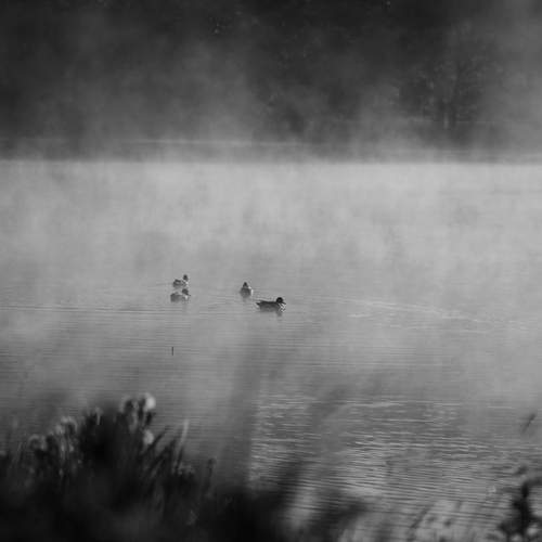 Photo #13695188