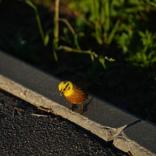 Photo #13695189