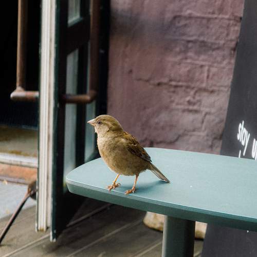 Photo #13695237