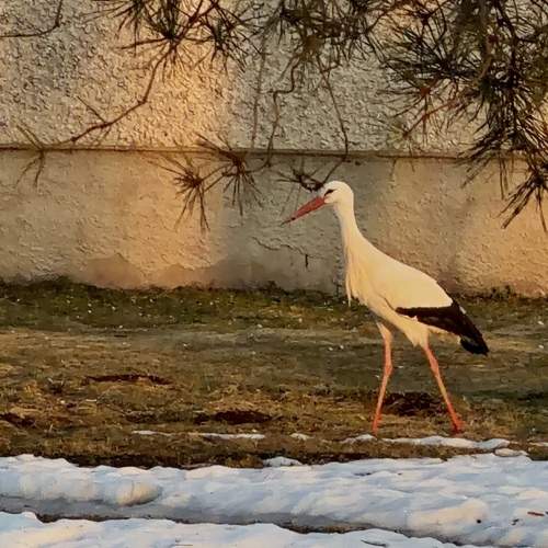 Photo #13695361