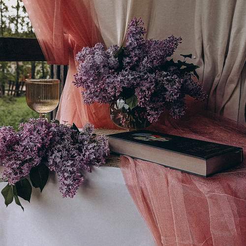 Photo #13695375