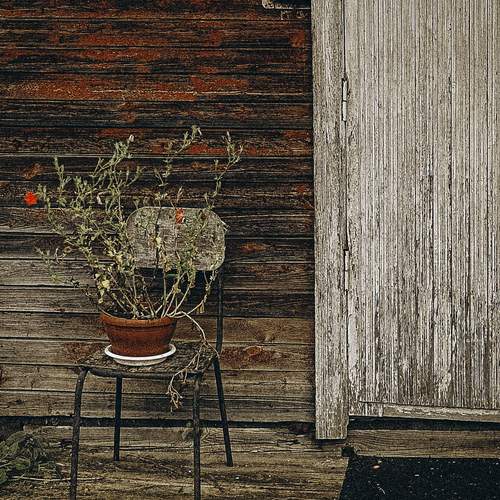Photo #13695376