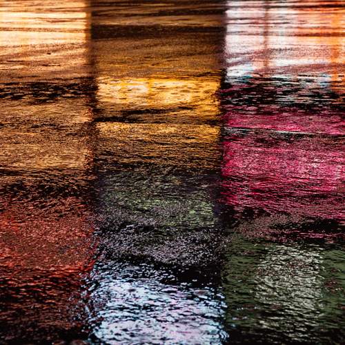 Photo #13695455