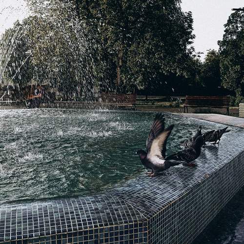Photo #13695466