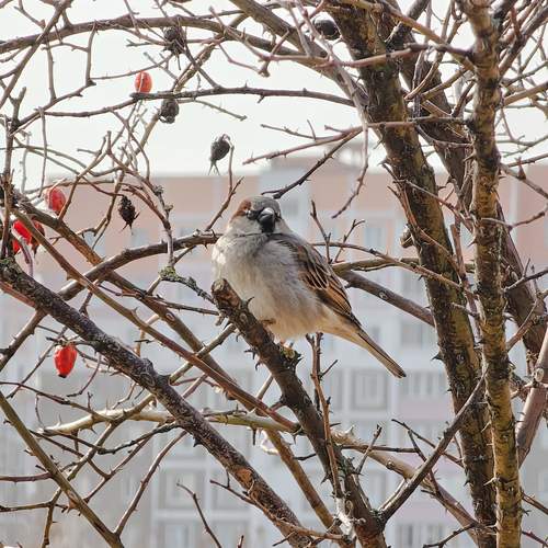Photo #13695579
