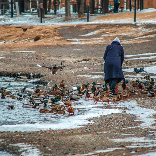 Photo #13695681