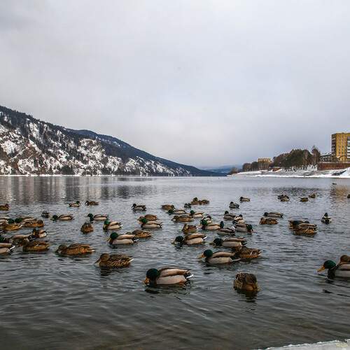 Photo #13695685