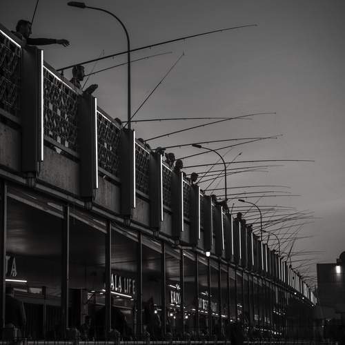 Photo #13695692