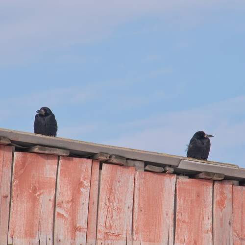 Photo #13695699