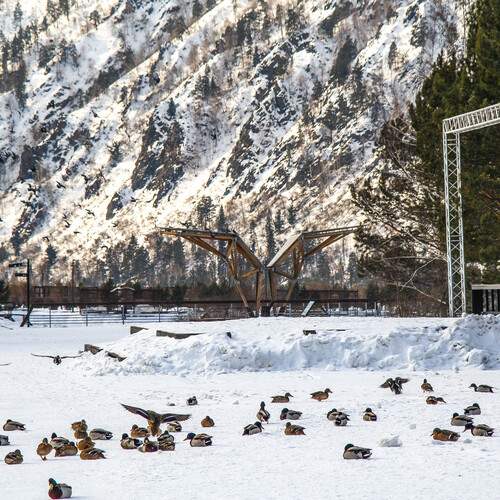 Photo #13695712
