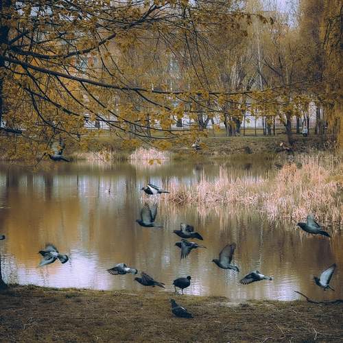 Photo #13695803