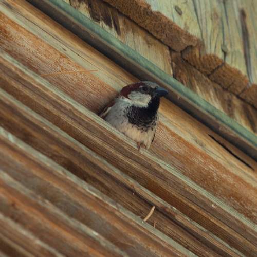 Photo #13695823