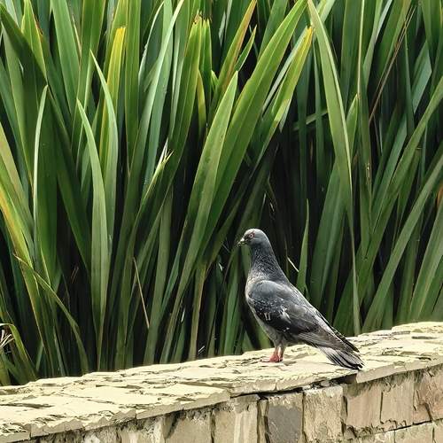 Photo #13695844