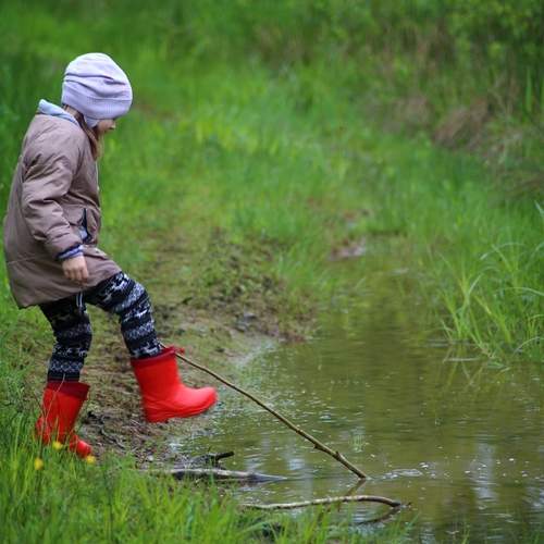 Photo #13695892