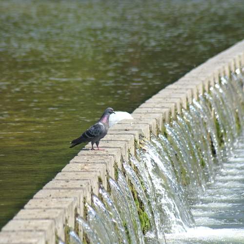 Photo #13695896
