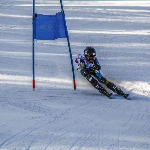 Photo #13695901