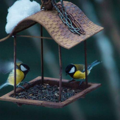 Photo #13695911