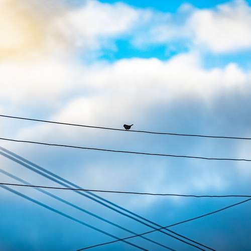 Photo #13695917