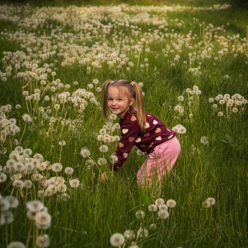 Photo #13695920