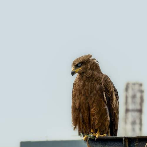 Photo #13695952