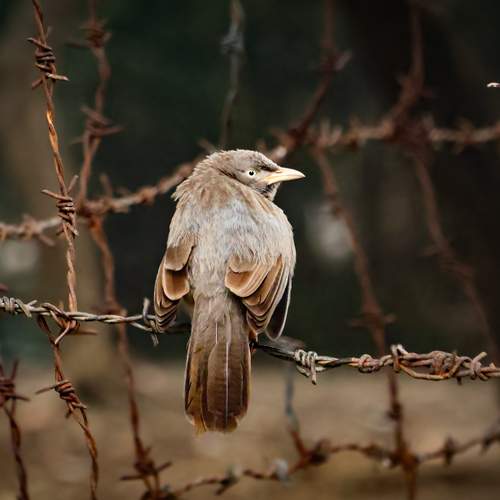 Photo #13695965