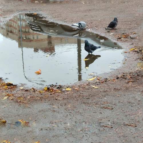 Photo #13695970
