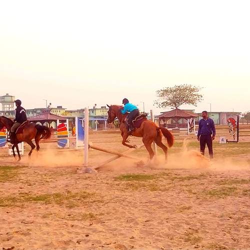 Photo #13696003
