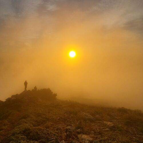 Photo #13696023