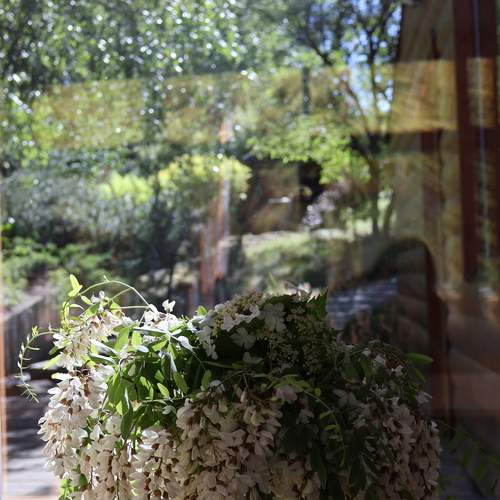 Photo #13696029