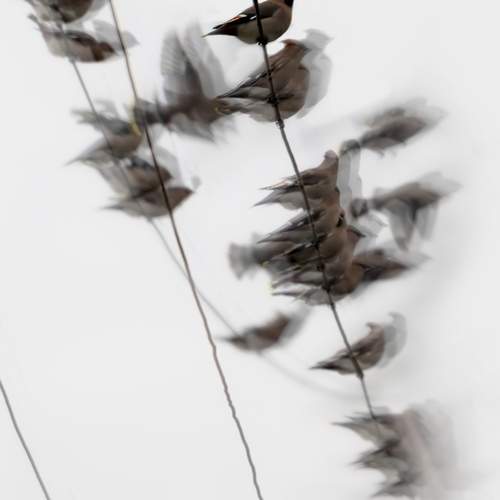 Photo #13696040