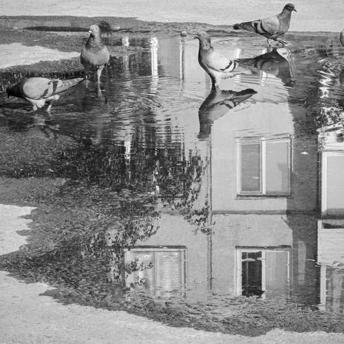 Photo #13696056