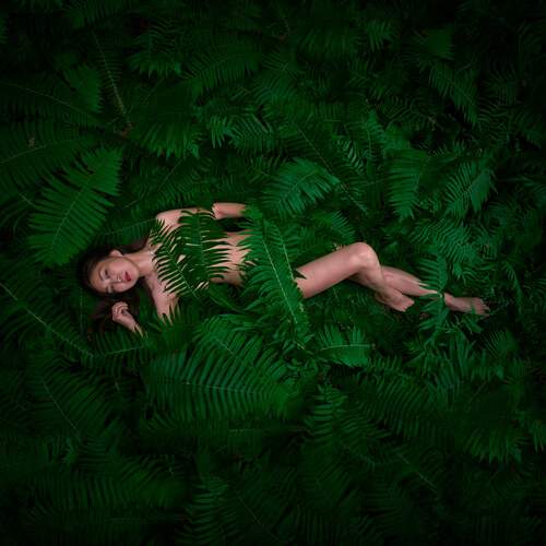 Photo #13696065