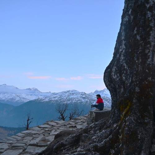 Photo #13696066