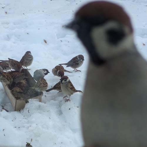 Photo #13696073