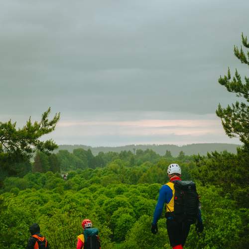 Photo #13696074