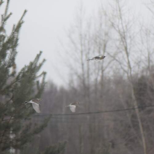 Photo #13696110