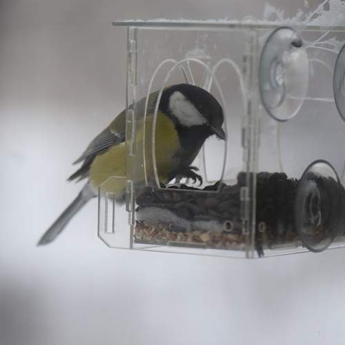 Photo #13696119