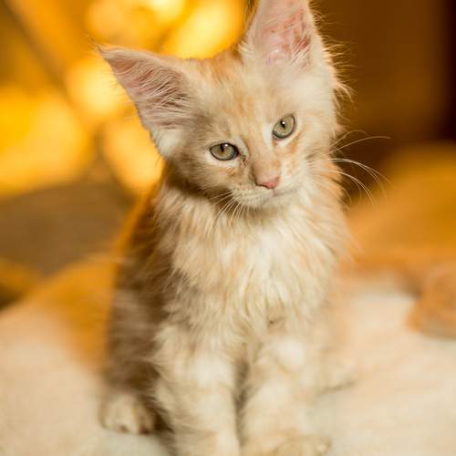 Photo #13696174