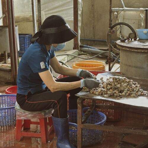 Photo #13696184