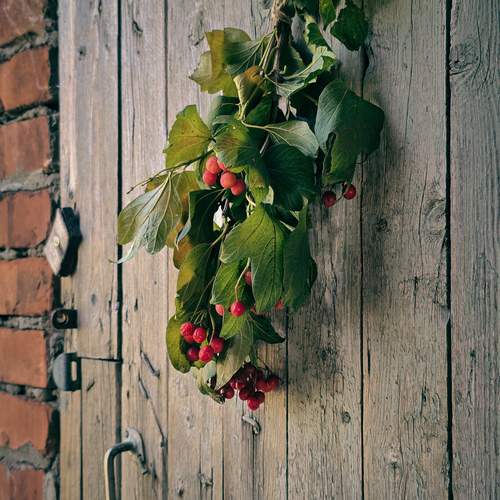 Photo #13696250