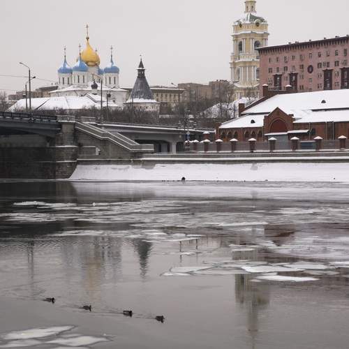 Photo #13696416