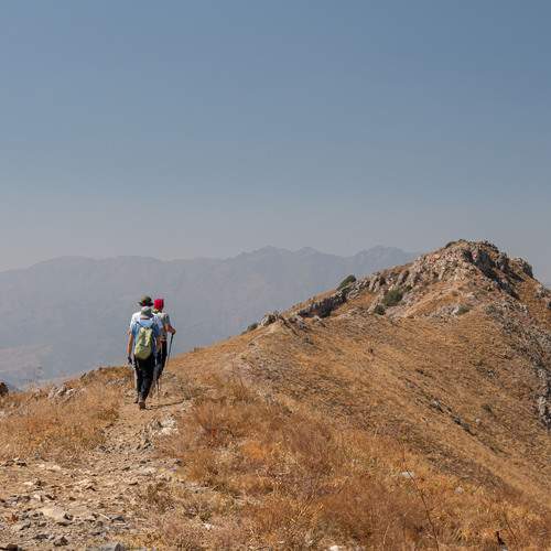 Photo #13696493