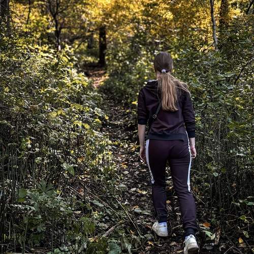Photo #13696503