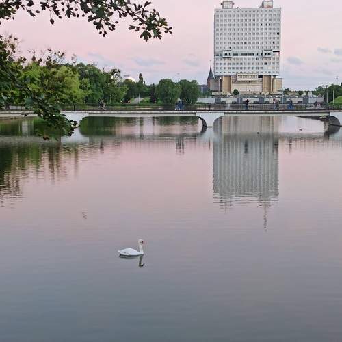Photo #13696507