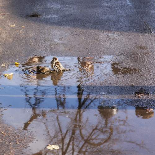 Photo #13696508