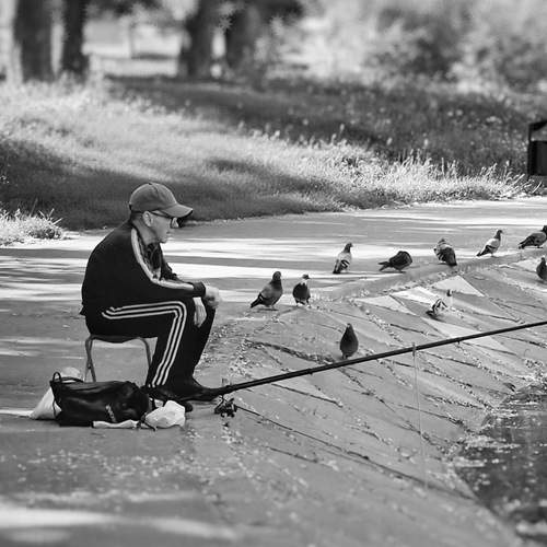Photo #13696554