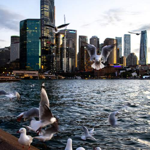 Photo #13696582